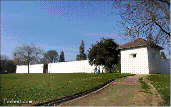 Fort Sutter which our branched was named for.